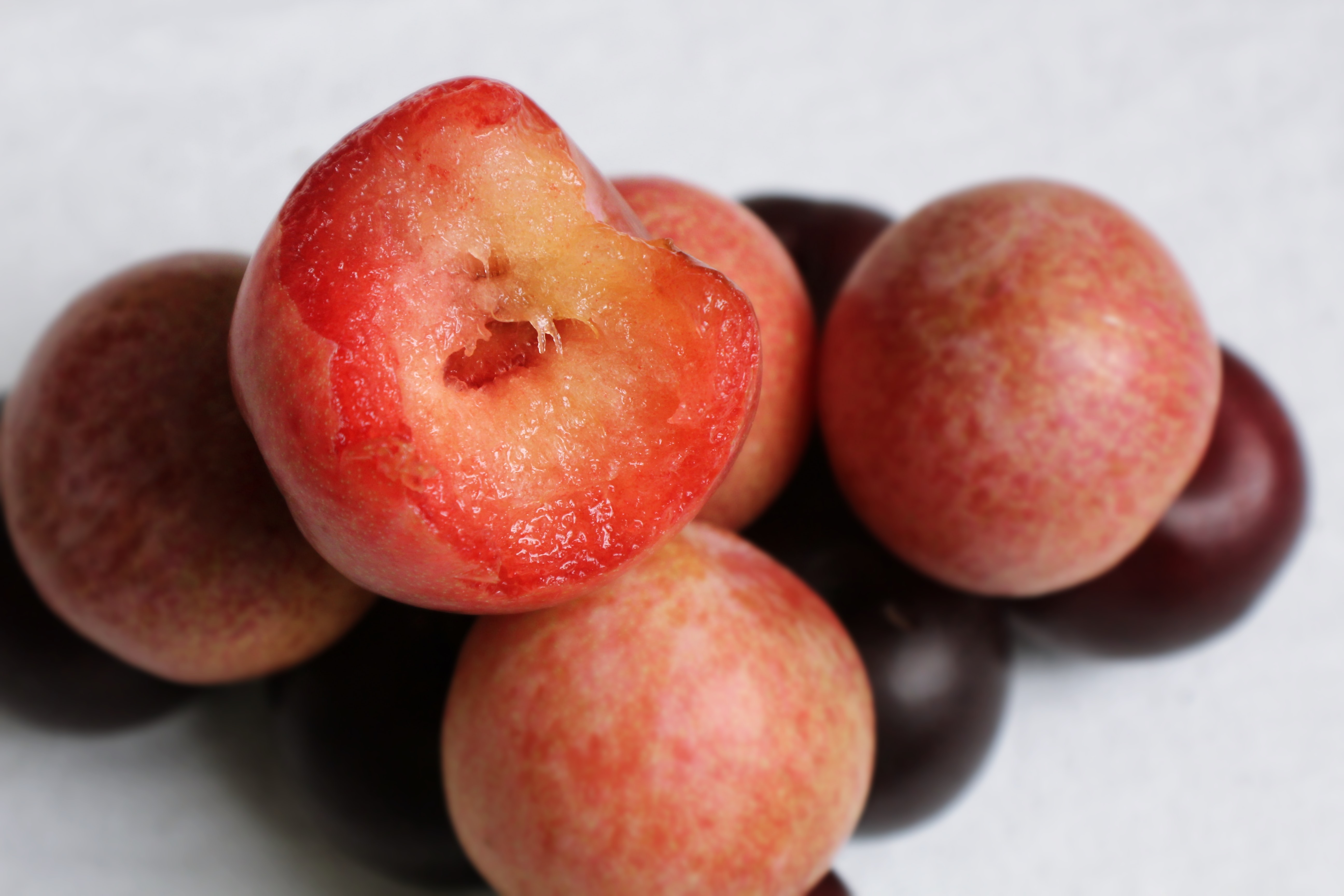 plums are in season in the uk in September